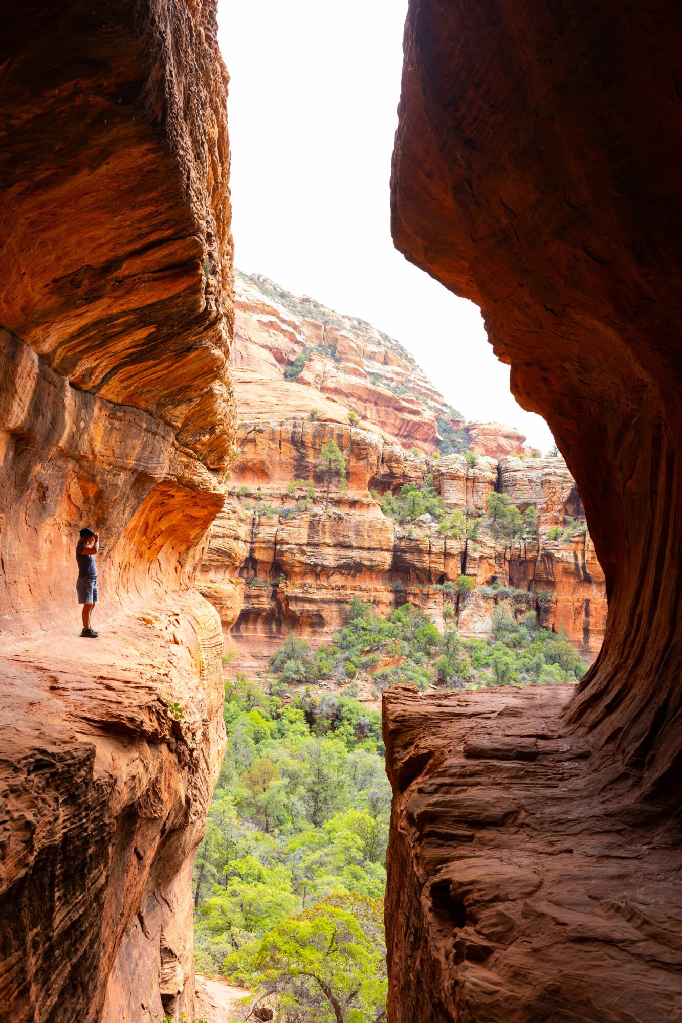 View through a canyon with a person walking on a narrow ledge, layered rock formations, and green vegetation below.