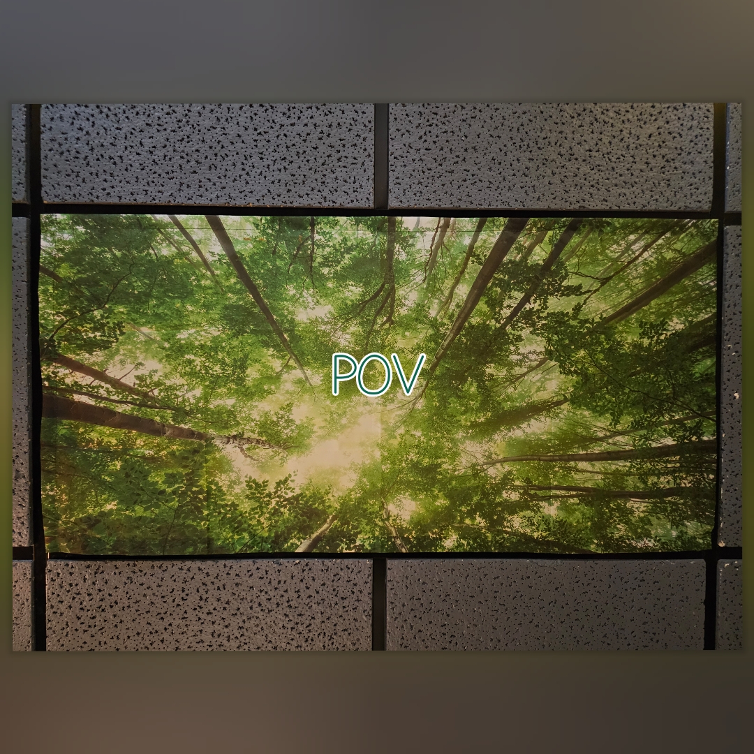 View of tall trees with sunlight shining through green leaves, labeled 'POV'.