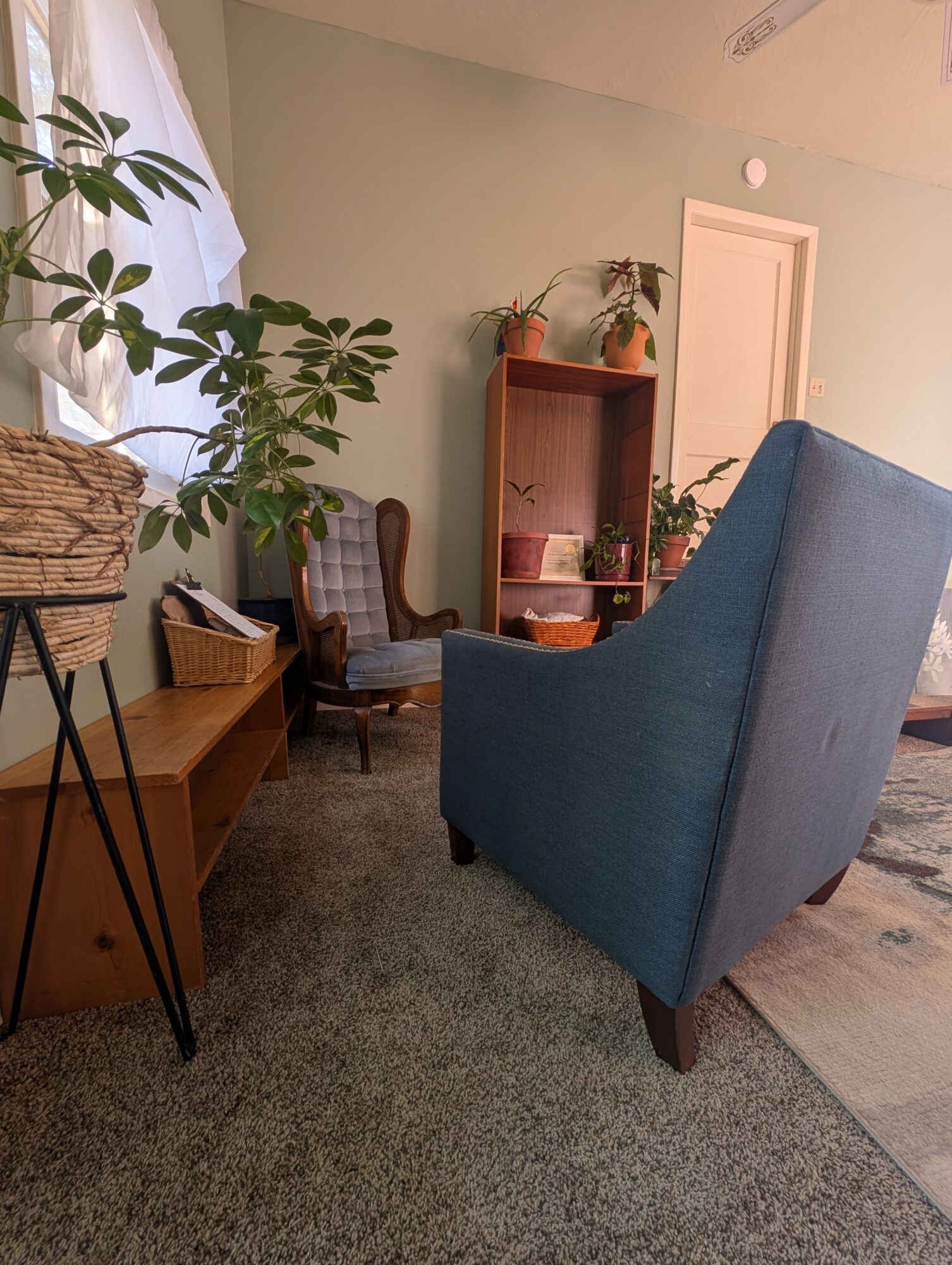 Living room with a large blue armchair, wooden bookshelf, potted plants, and a window with curtains.