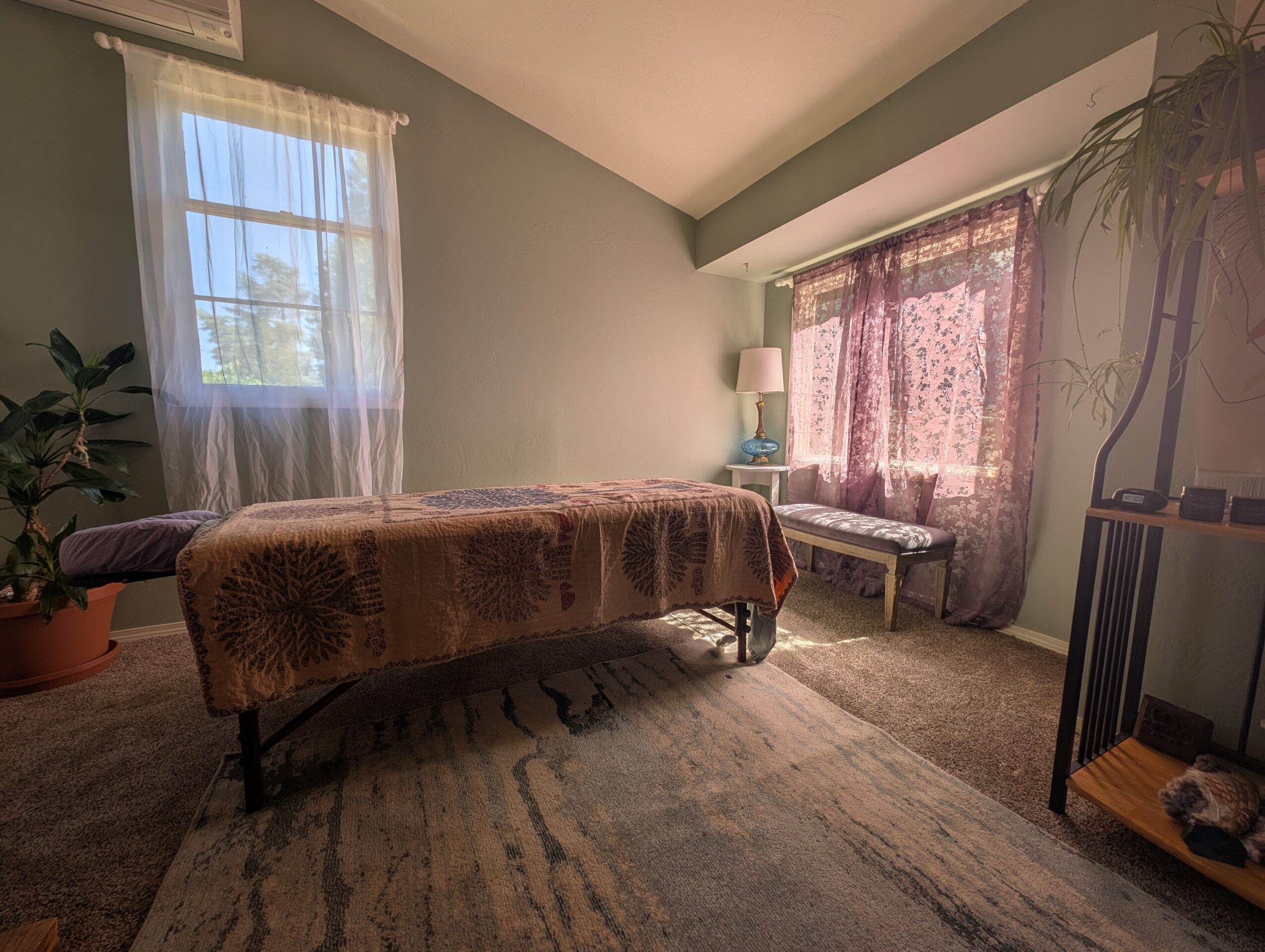 Room with a massage table, window with curtains, potted plant, and a rug on the floor.