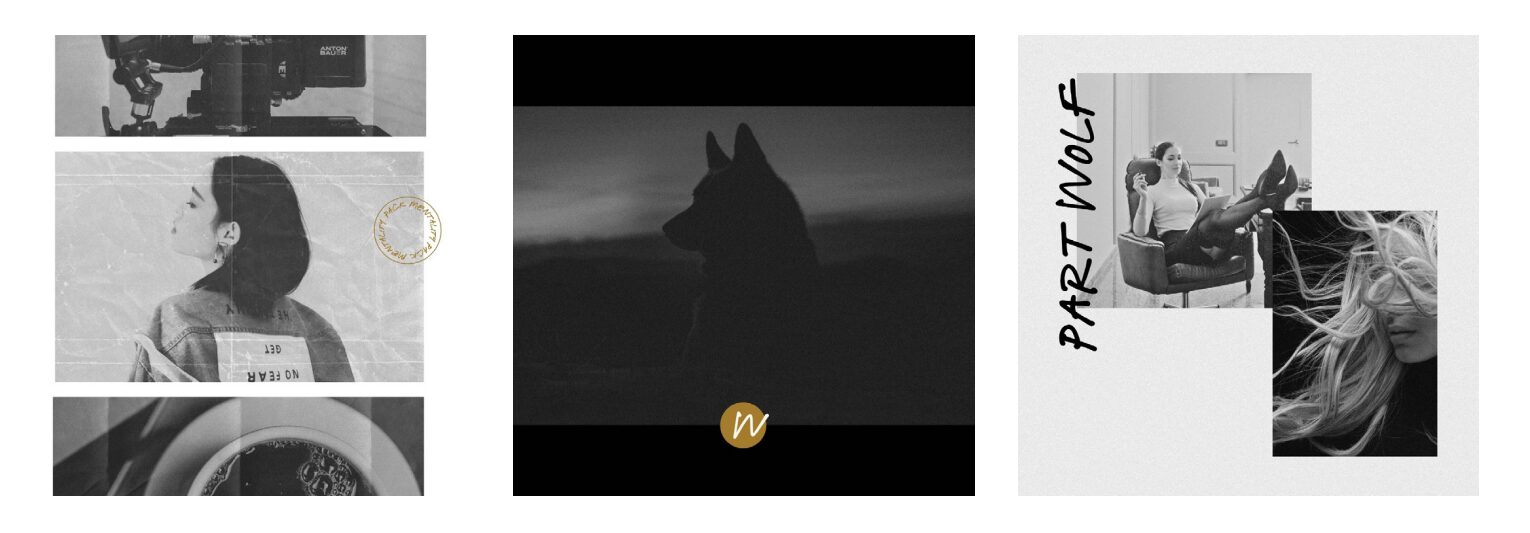 Silhouette of a wolf against a dark background, with a gold emblem below, and other images with text and people.