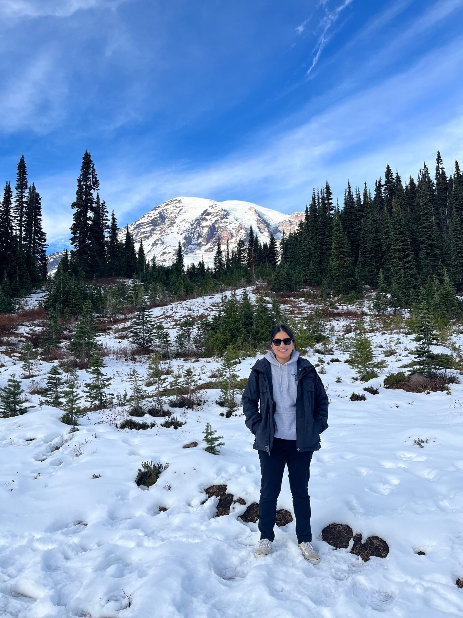 Person standing in snowy landscape with trees and snow-covered mountain in background.