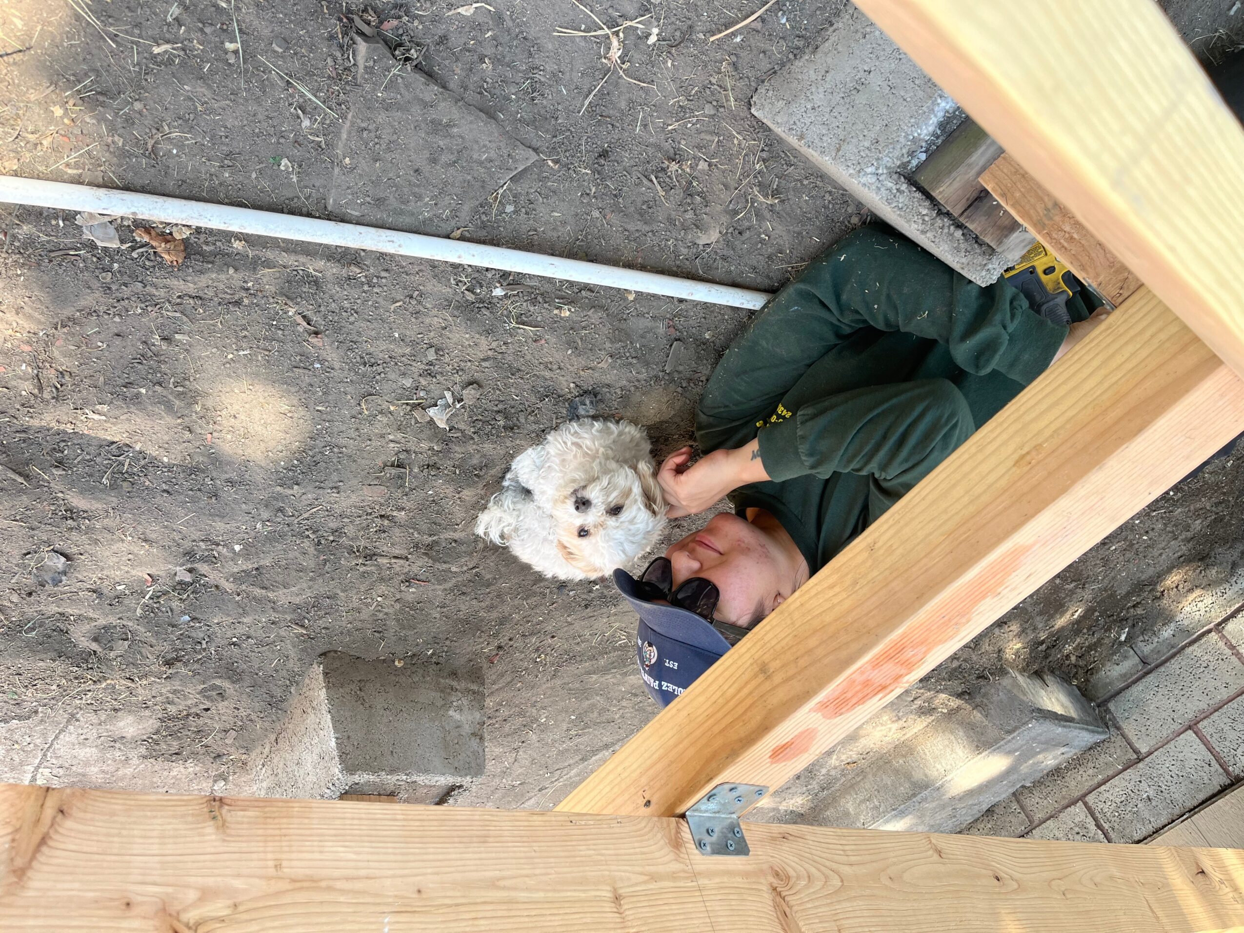 Person lying on ground with a small white dog, construction wood and dirt visible, person wearing green clothing and a cap.