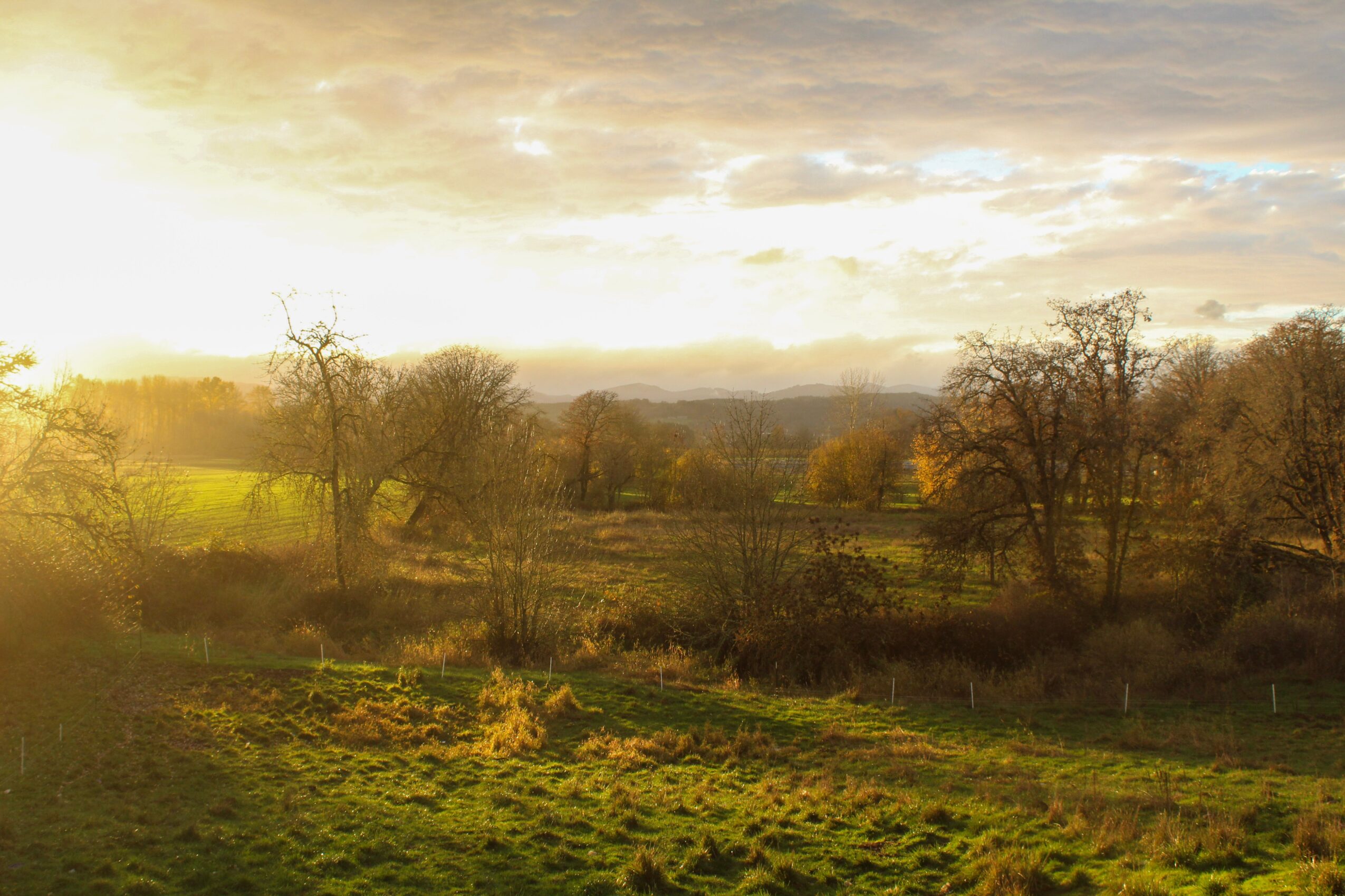 Sunset over a rural landscape with trees and fields, warm light illuminating the scene.