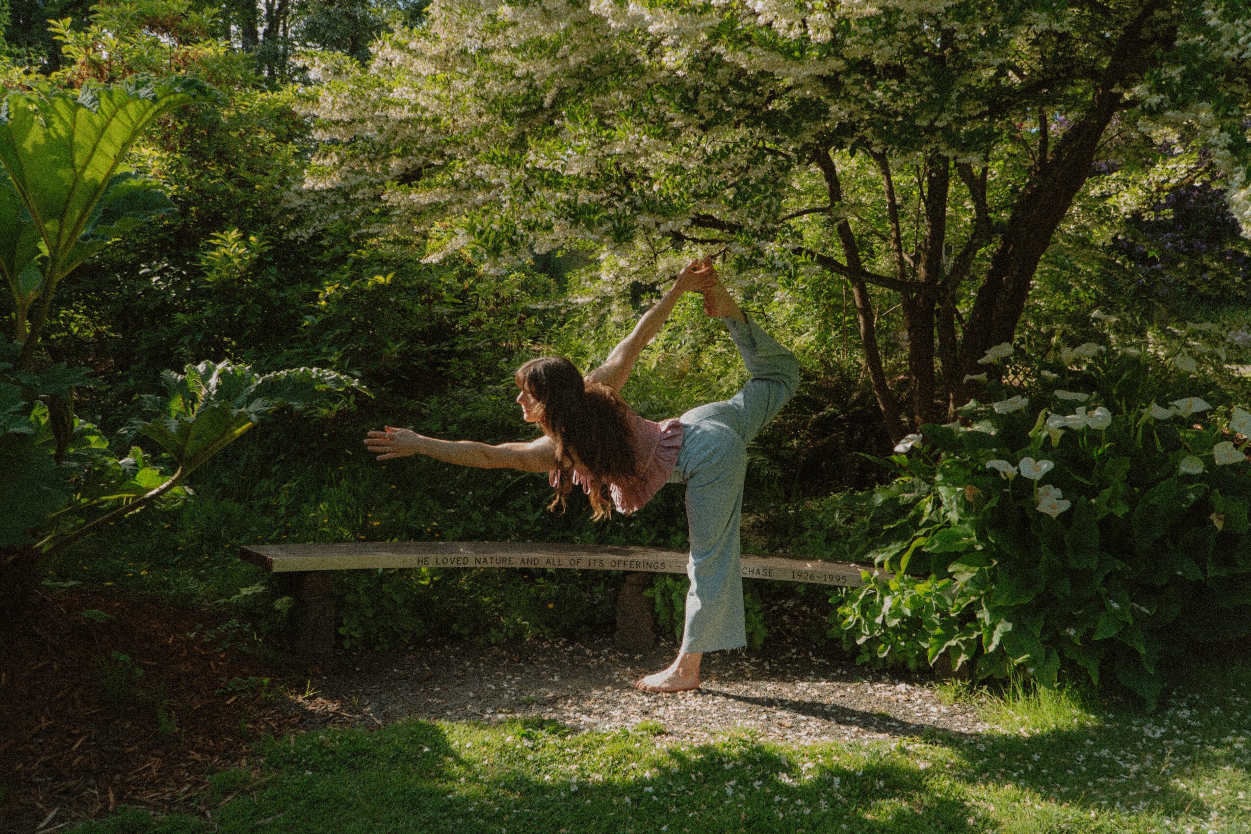 Person performing a yoga pose outdoors on a bench surrounded by trees and greenery.