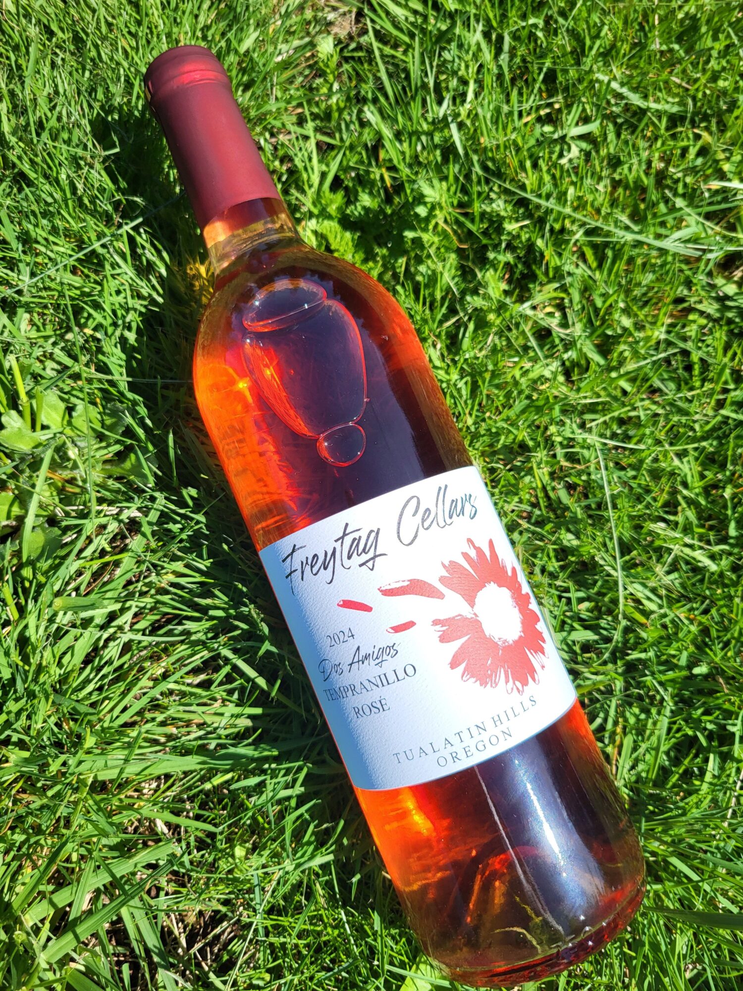 Bottle of rosé wine lying on green grass with a white label and red cap.