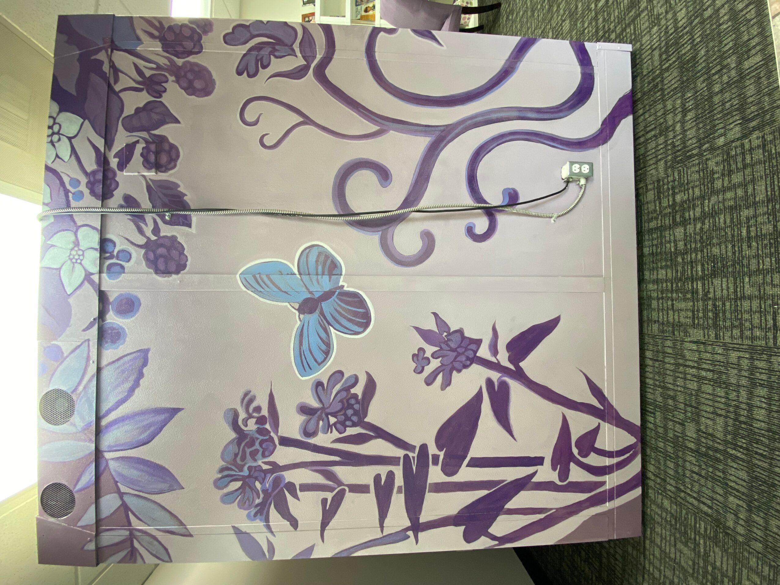 Closet doors with purple floral and butterfly design, with a visible electrical cord and plug, on a green carpeted floor.