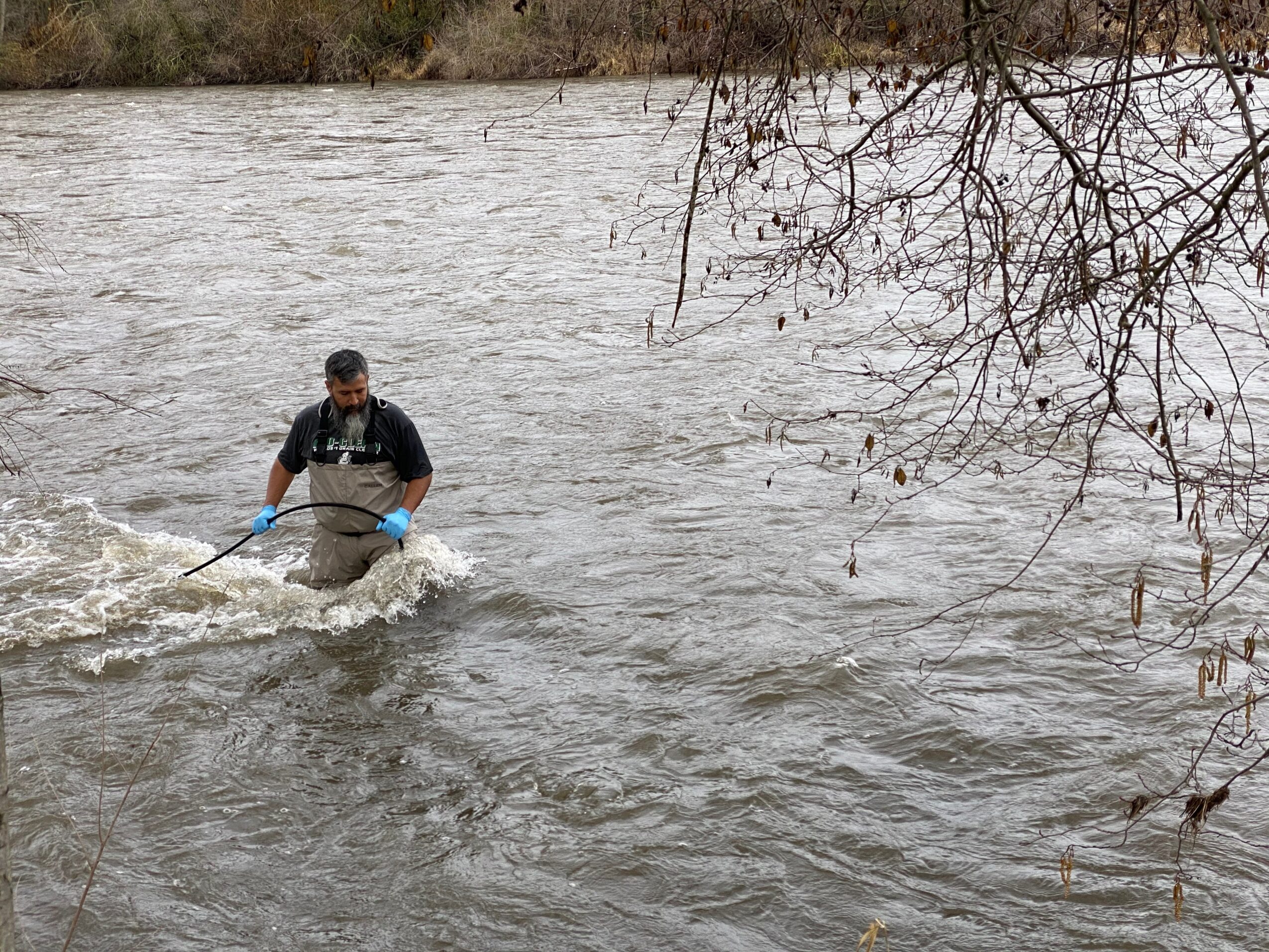 Person wading through a river with a stick, trees overhanging water, overcast sky, natural outdoor scene.