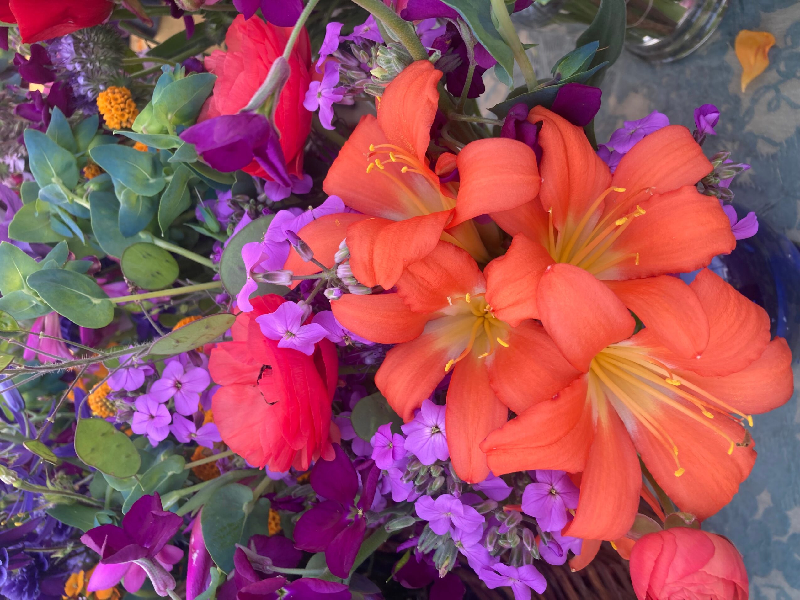Bright orange lilies surrounded by purple and red flowers with green leaves.