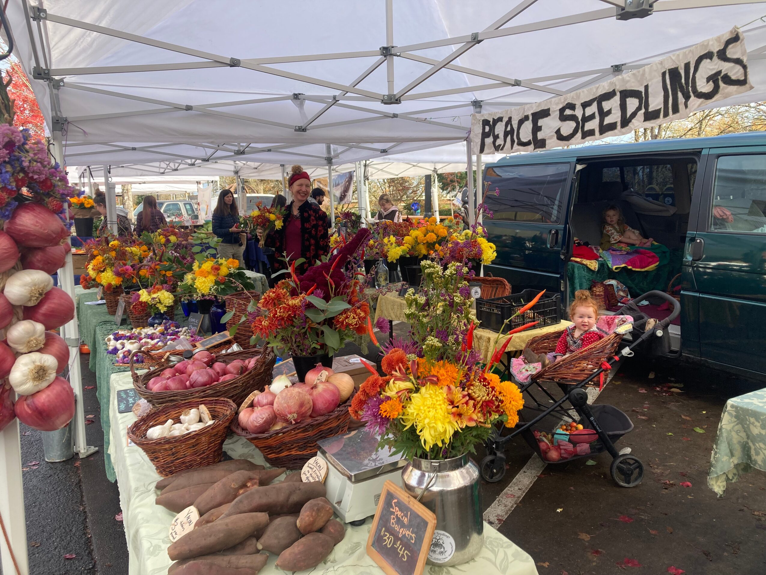 Flower and vegetable stall at a market with people, a van, and a sign reading 'PEACE SEEDLINGS'.