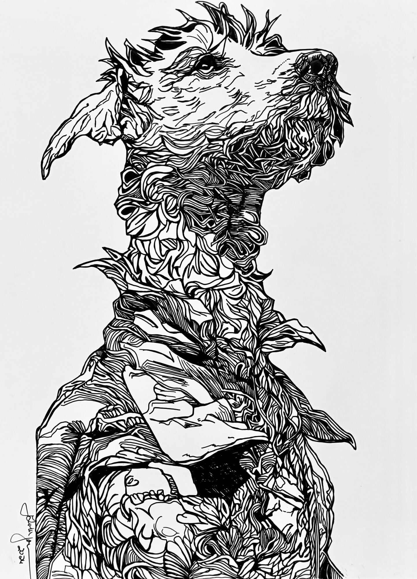 Detailed black and white illustration of a dog with textured fur and expressive features, facing right.