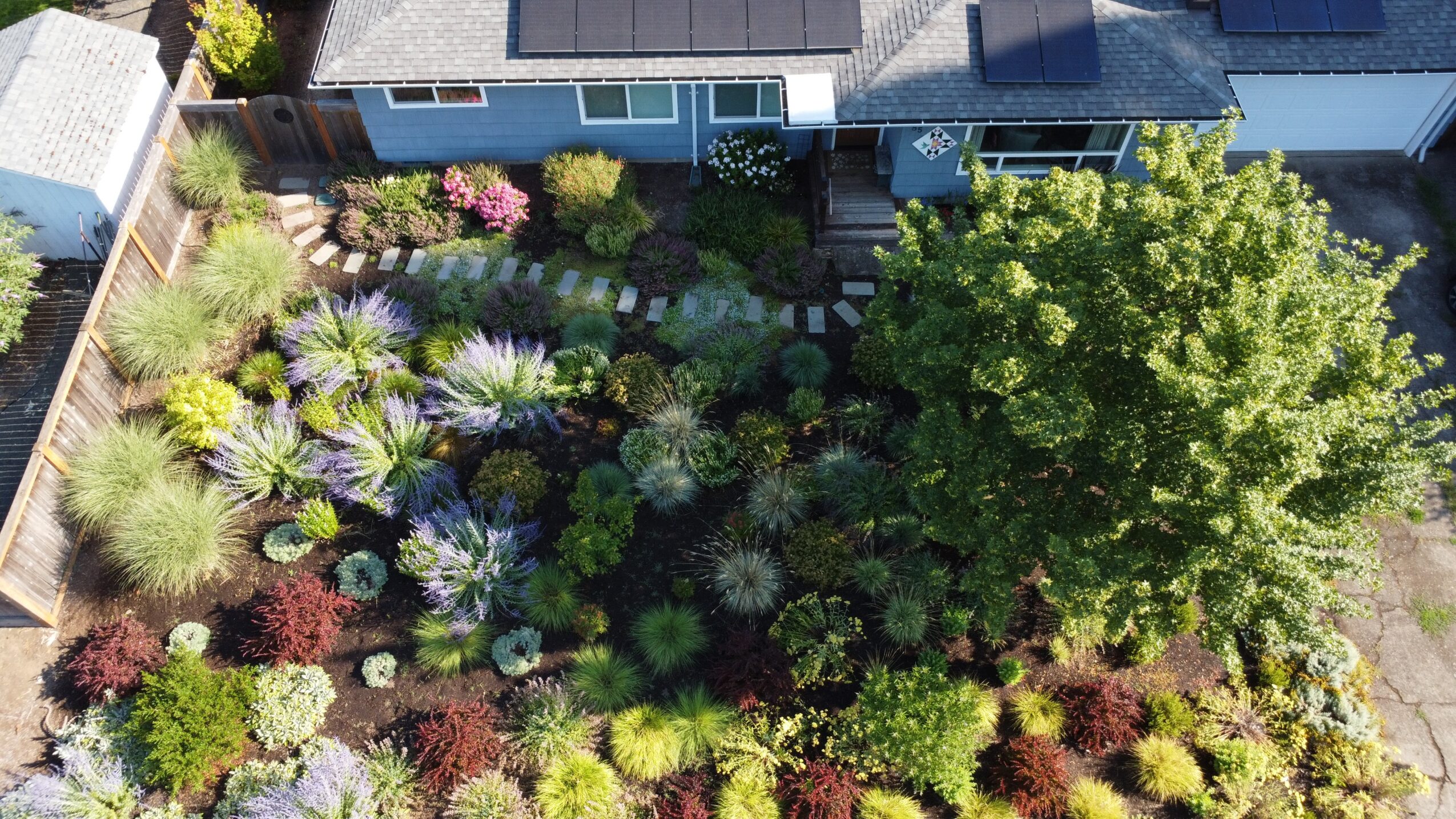 A garden with various plants, trees, and flowers viewed from above, adjacent to houses with rooftops visible.