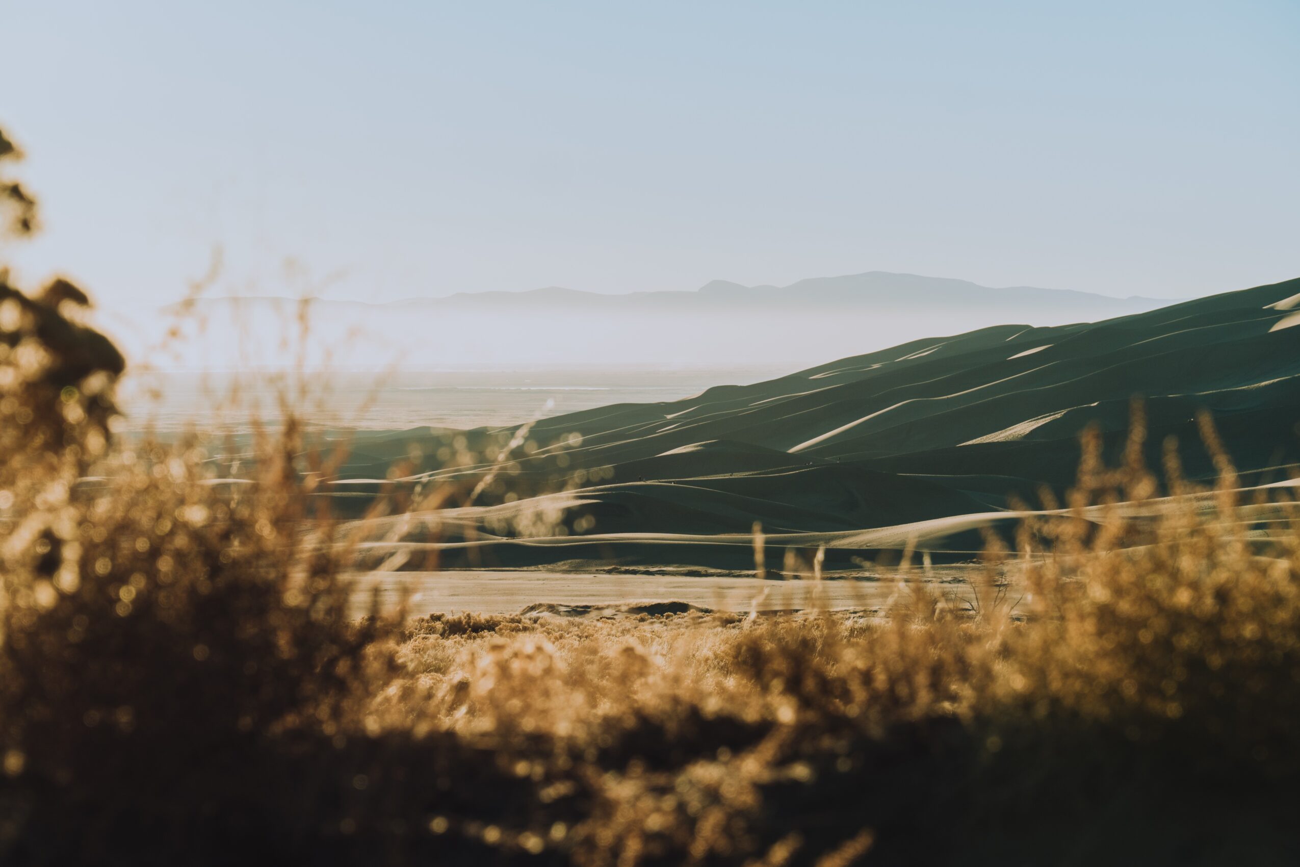 Landscape with rolling hills, distant mountains, and dry grass in foreground, under a clear sky.
