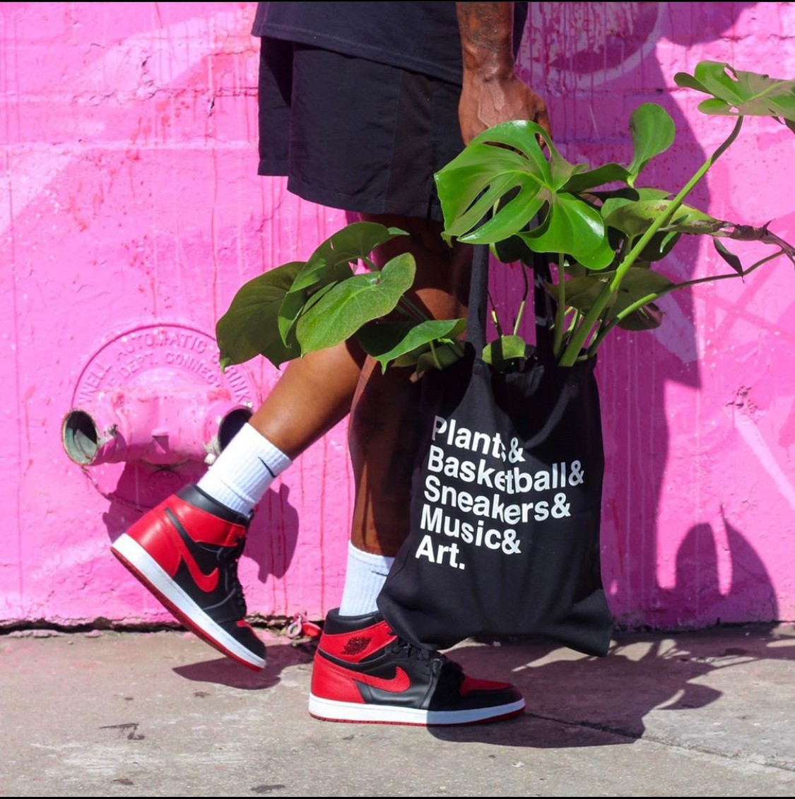 Person wearing black shorts and red sneakers standing next to a black bag with white text, and a large green plant, against a pink wall.