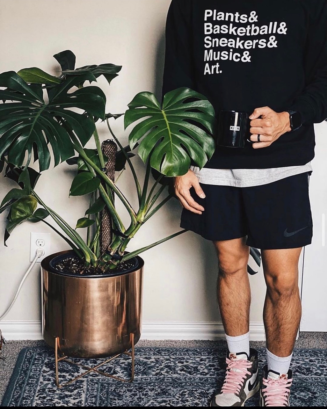 Person standing next to a large potted plant with broad leaves, wearing a black sweatshirt, shorts, and pink sneakers.