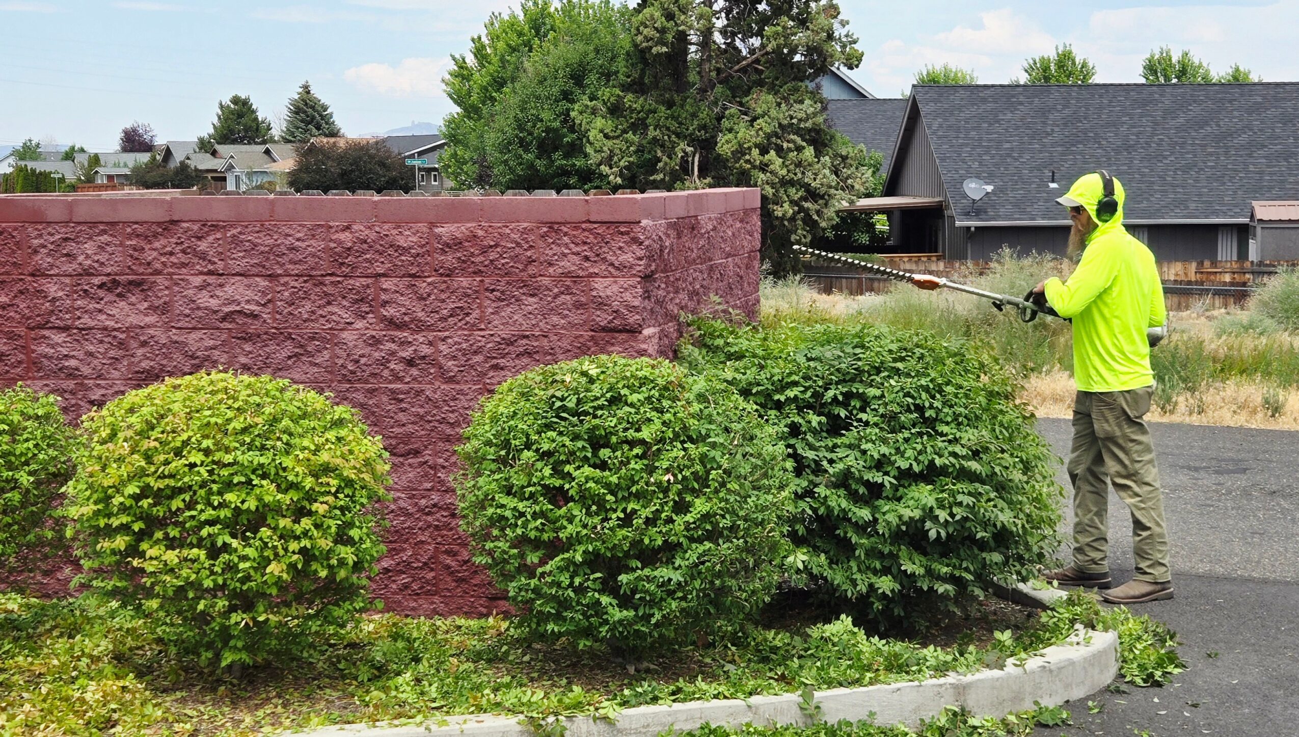 Person in bright yellow jacket and hat spraying bushes near a red wall, with houses and trees in background.