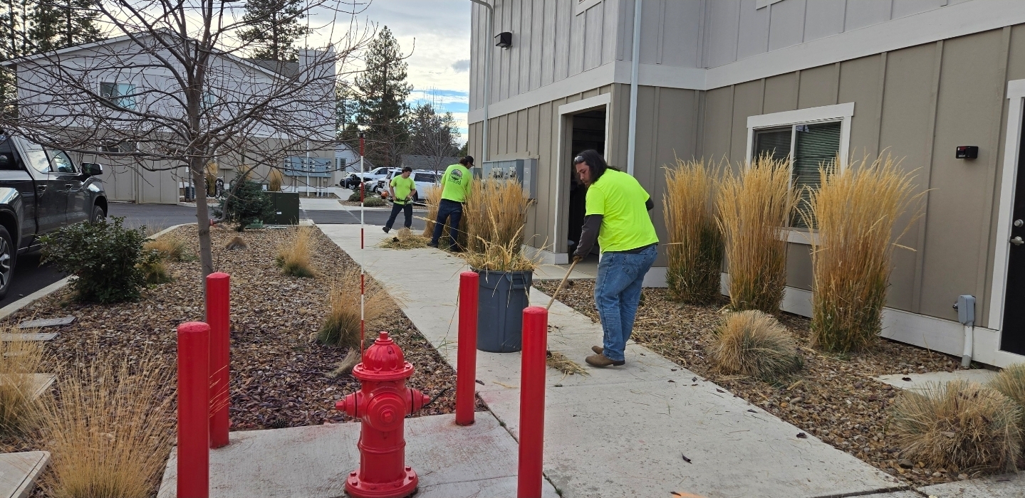 People in bright yellow shirts working outside a building near plants and a sidewalk.