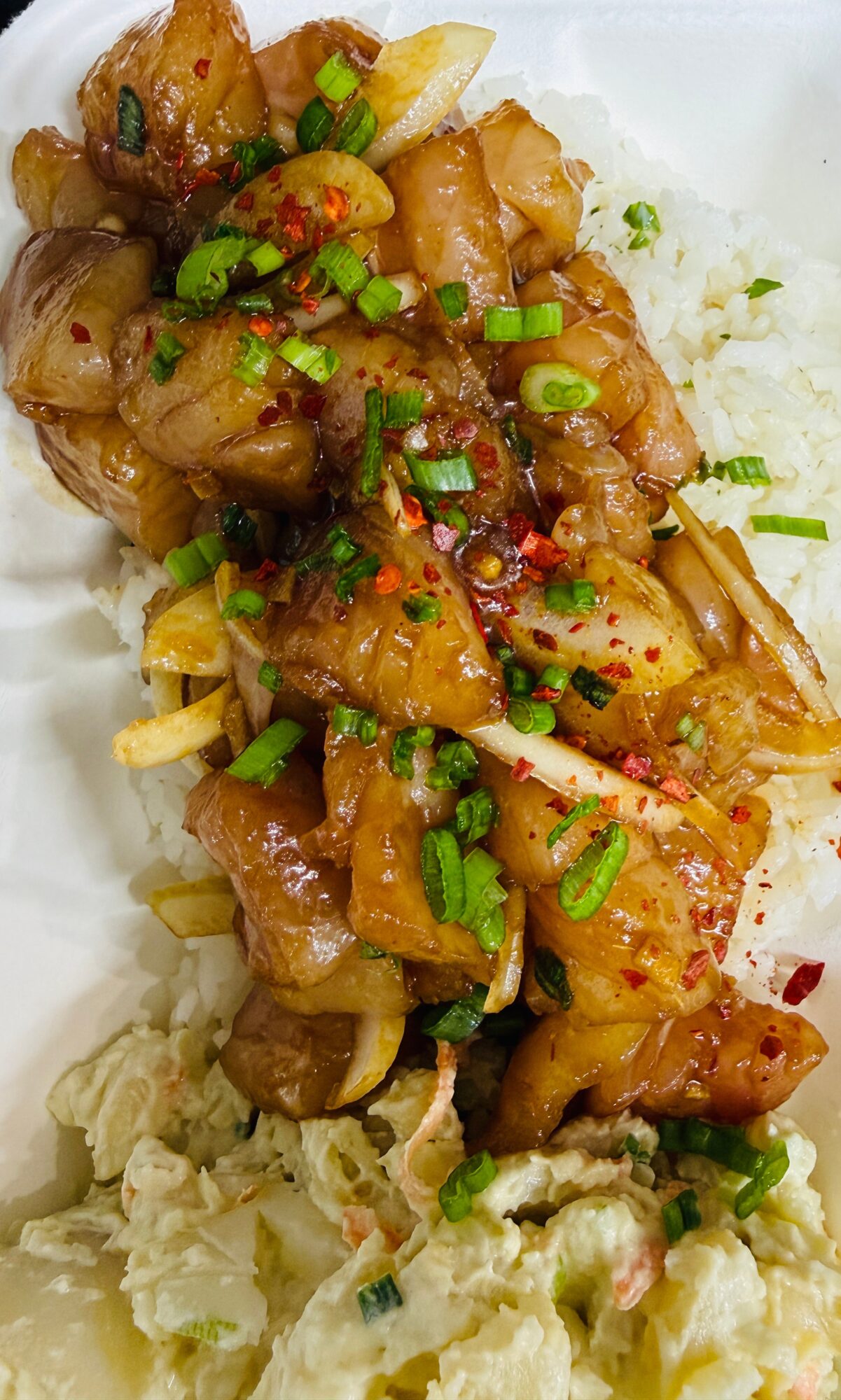 Cooked meat with green onions and spices on rice, with mashed potatoes nearby, on a white plate.