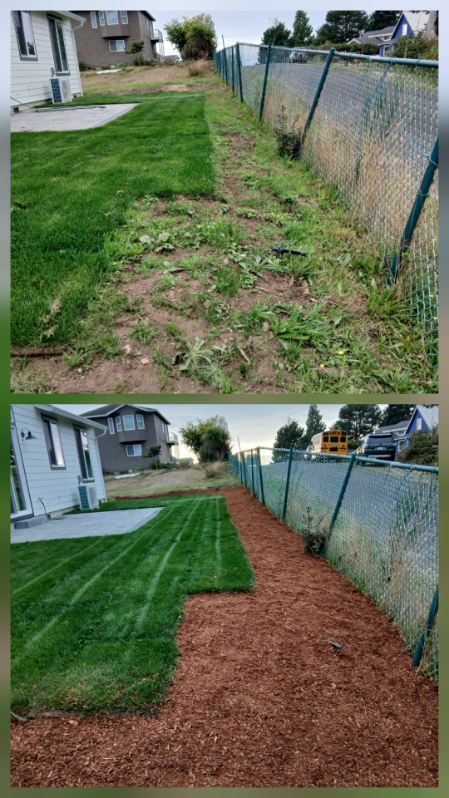 Yard with grass, dirt, and a chain-link fence, showing a transition from bare soil to landscaped area, viewed from the side.