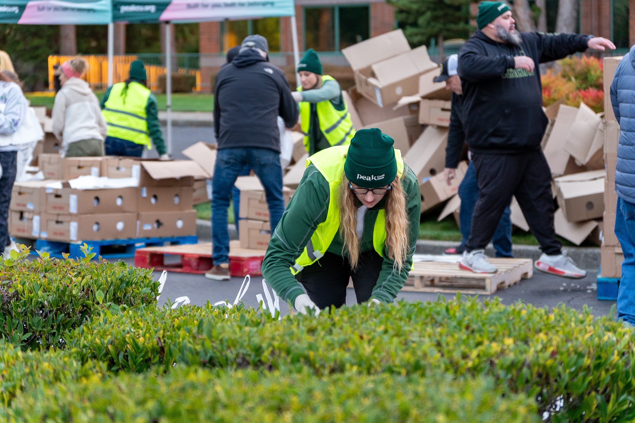 People working outdoors with boxes, some wearing high-visibility vests, planting or maintaining greenery, in a busy outdoor setting.