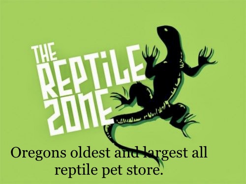 Black silhouette of a lizard on a green background with white text reading 'The Reptile 2016'.