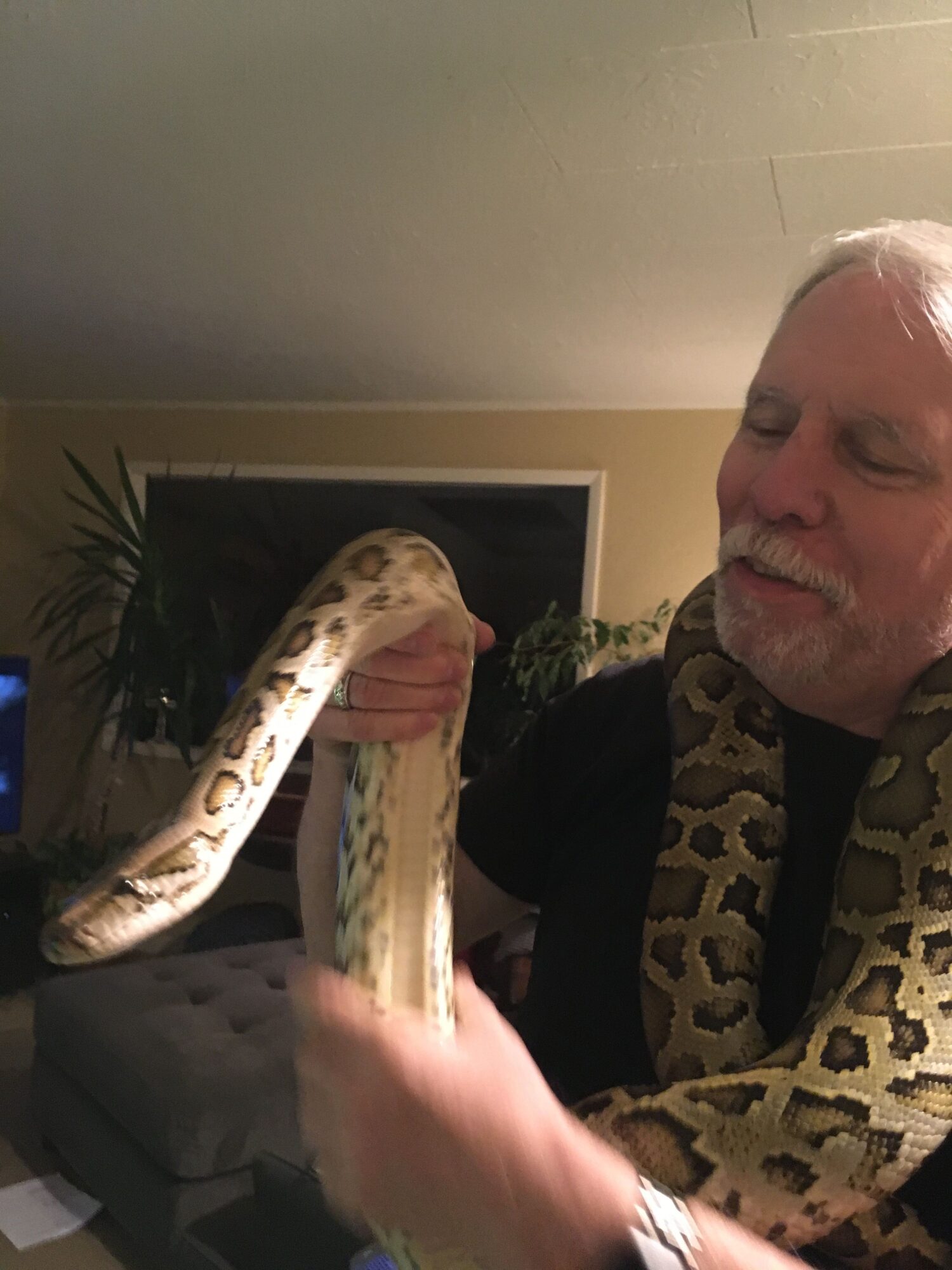 An older man with white hair and a beard holds a large snake, standing indoors near a plant and a television.
