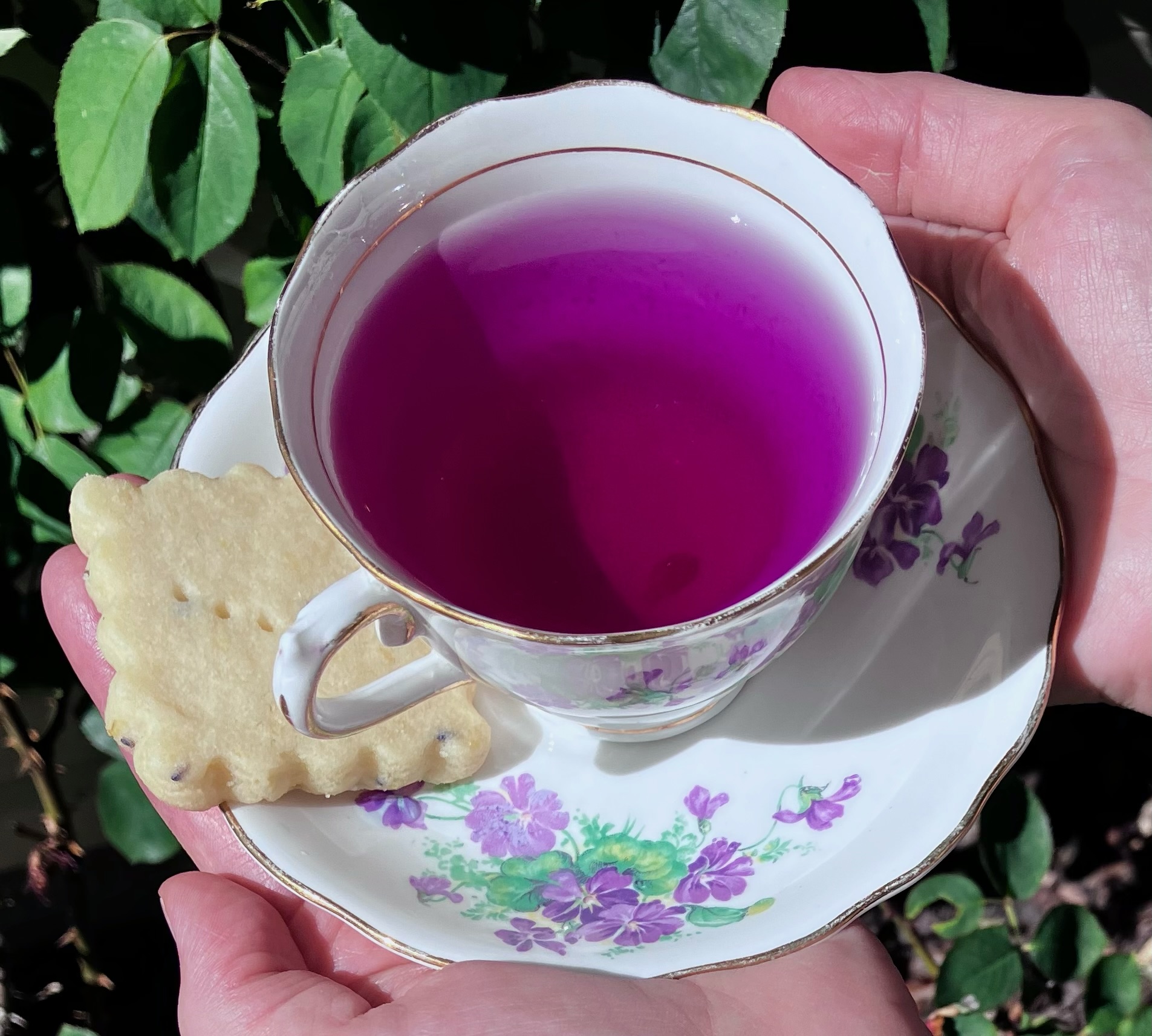 Person holding a floral teacup with purple liquid and a biscuit on a matching saucer, outdoors with green leaves.
