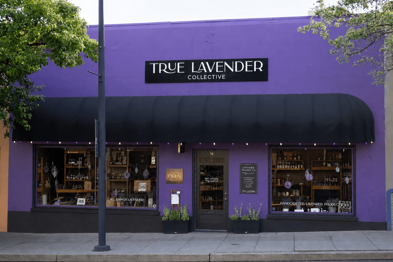 Storefront with purple wall, black awning, and large windows displaying products, with trees on both sides.