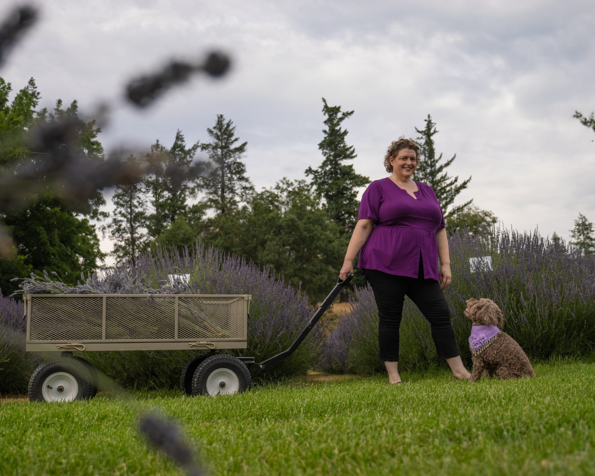 Woman standing on grass with a dog sitting nearby, pulling a wagon in a garden with trees and purple flowers, cloudy sky.