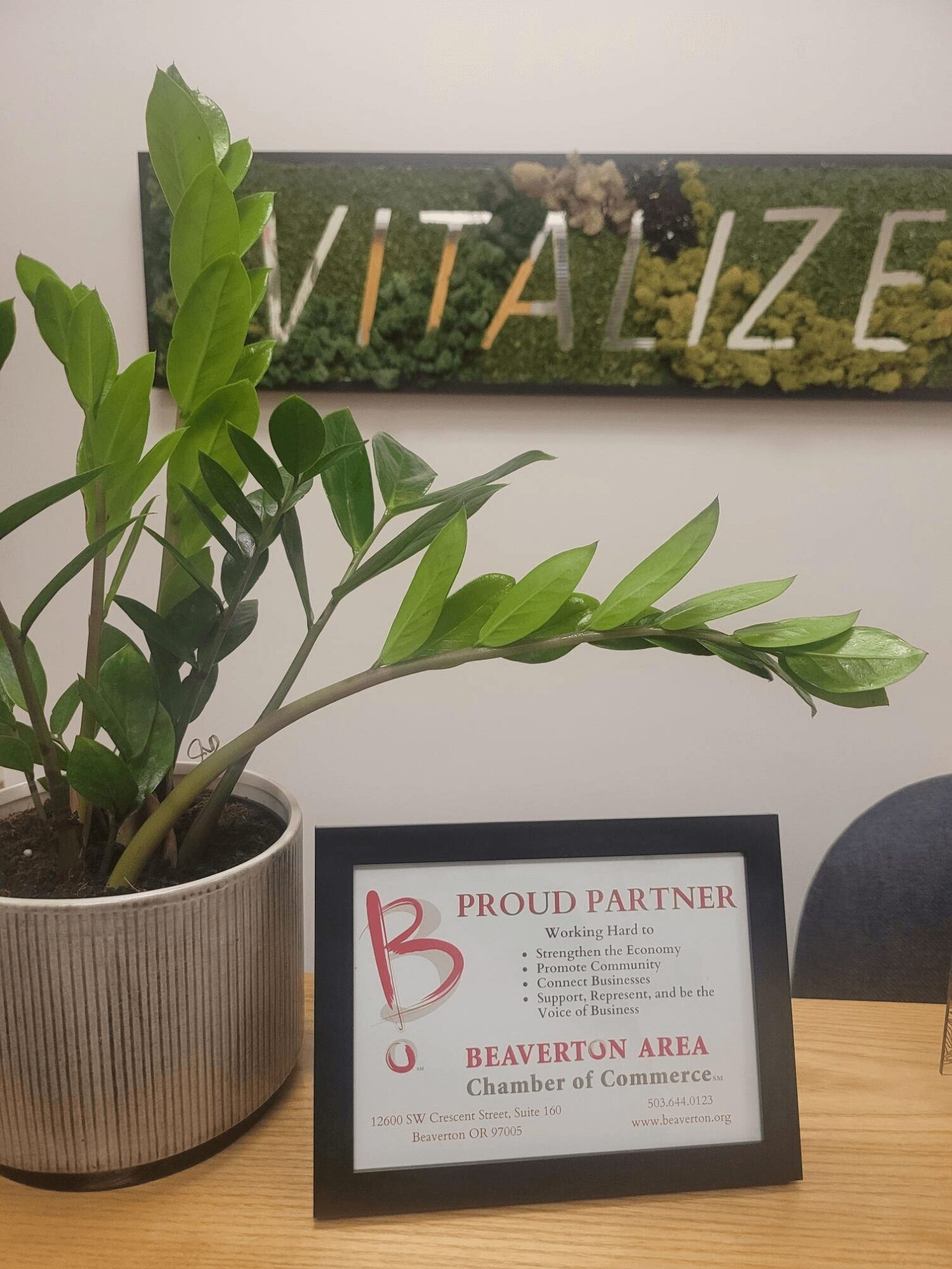 Potted plant with green leaves on a table, framed certificate, and a sign with partially visible text in the background.