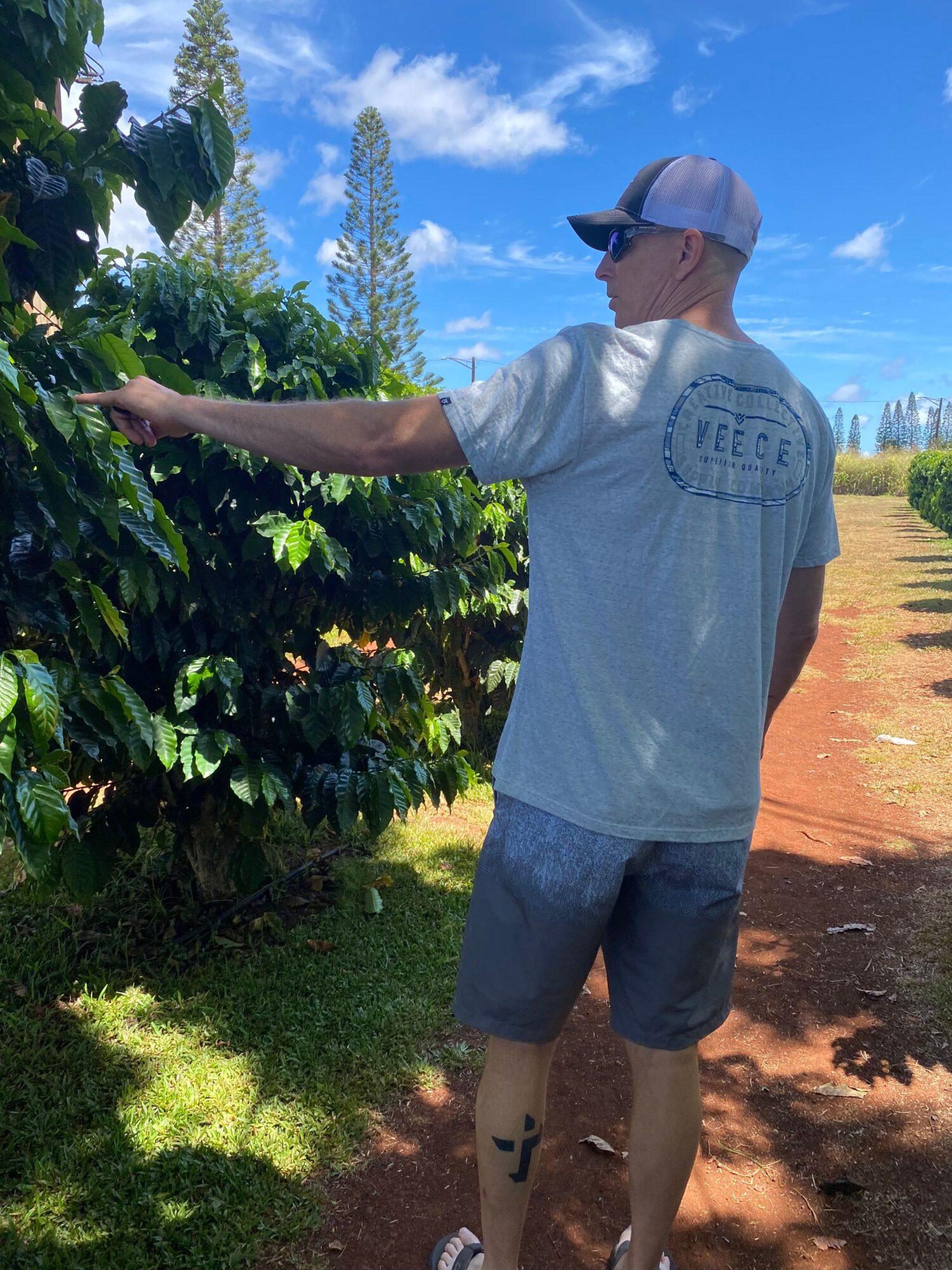 Person in white shirt and shorts watering plants outdoors on sunny day.