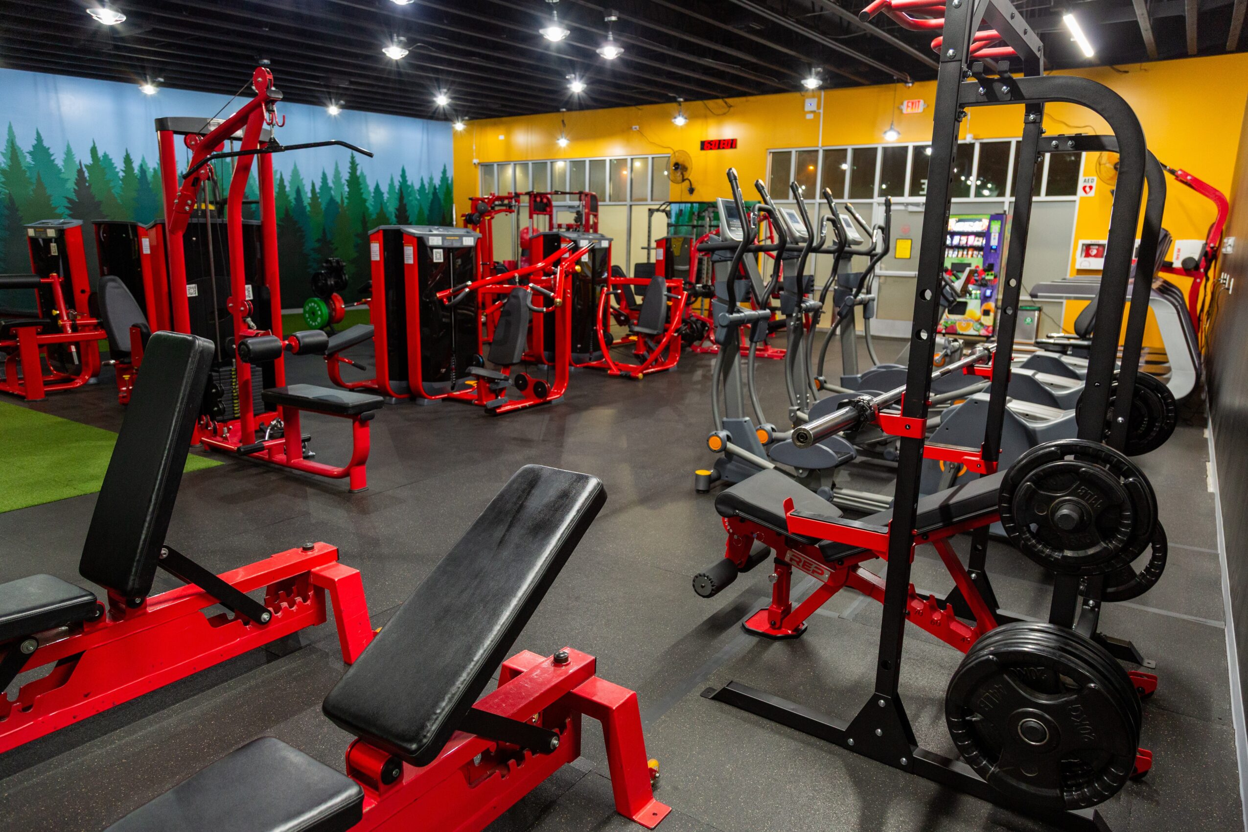Gym with red and black exercise equipment, yellow wall, and forest mural, arranged in rows, with a black ceiling and bright lighting.