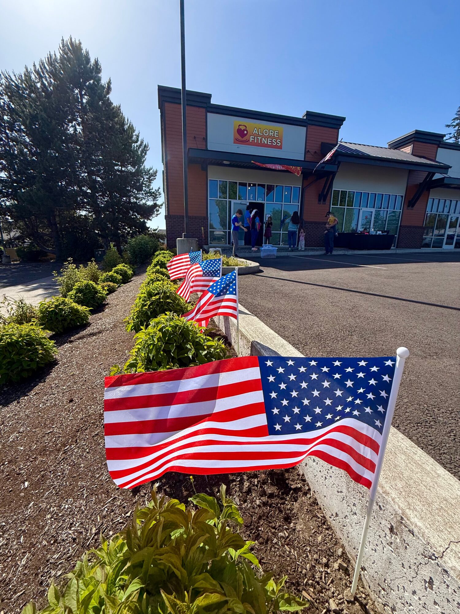 American flags on small bushes in front of a building with a parking lot and people outside.