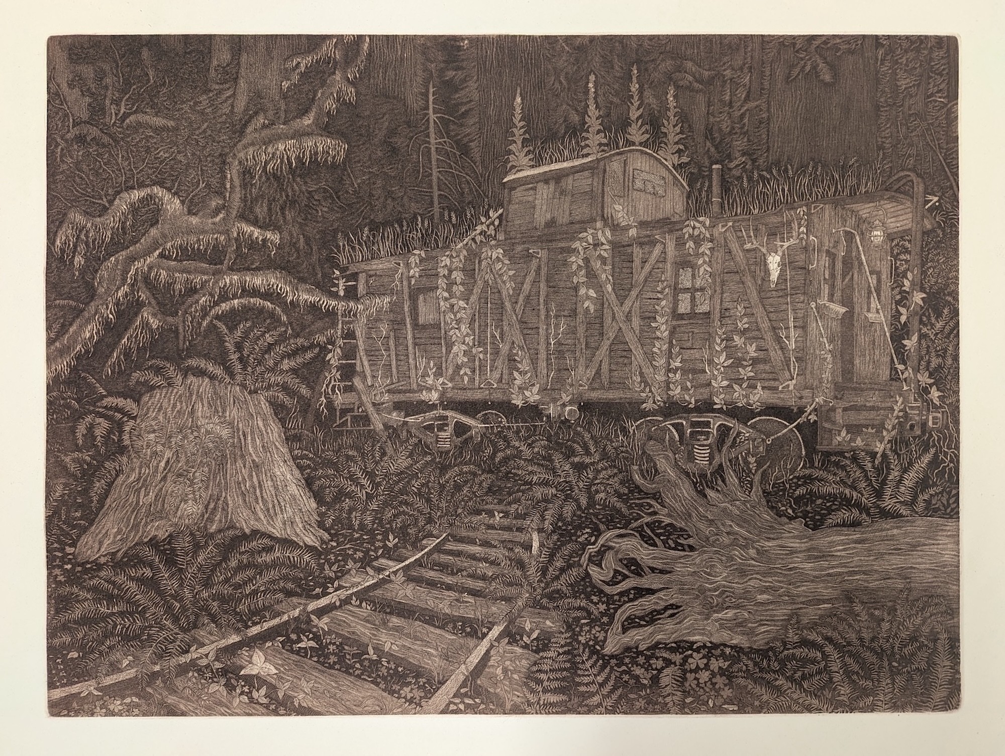 A train on tracks in a forest with trees and foliage surrounding it, in a black and white illustration.
