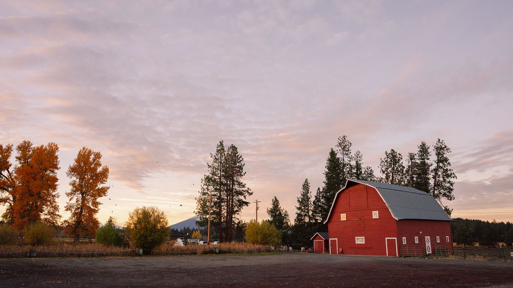 Red barn with a gray roof beside trees and open sky, landscape scene at sunset or sunrise.