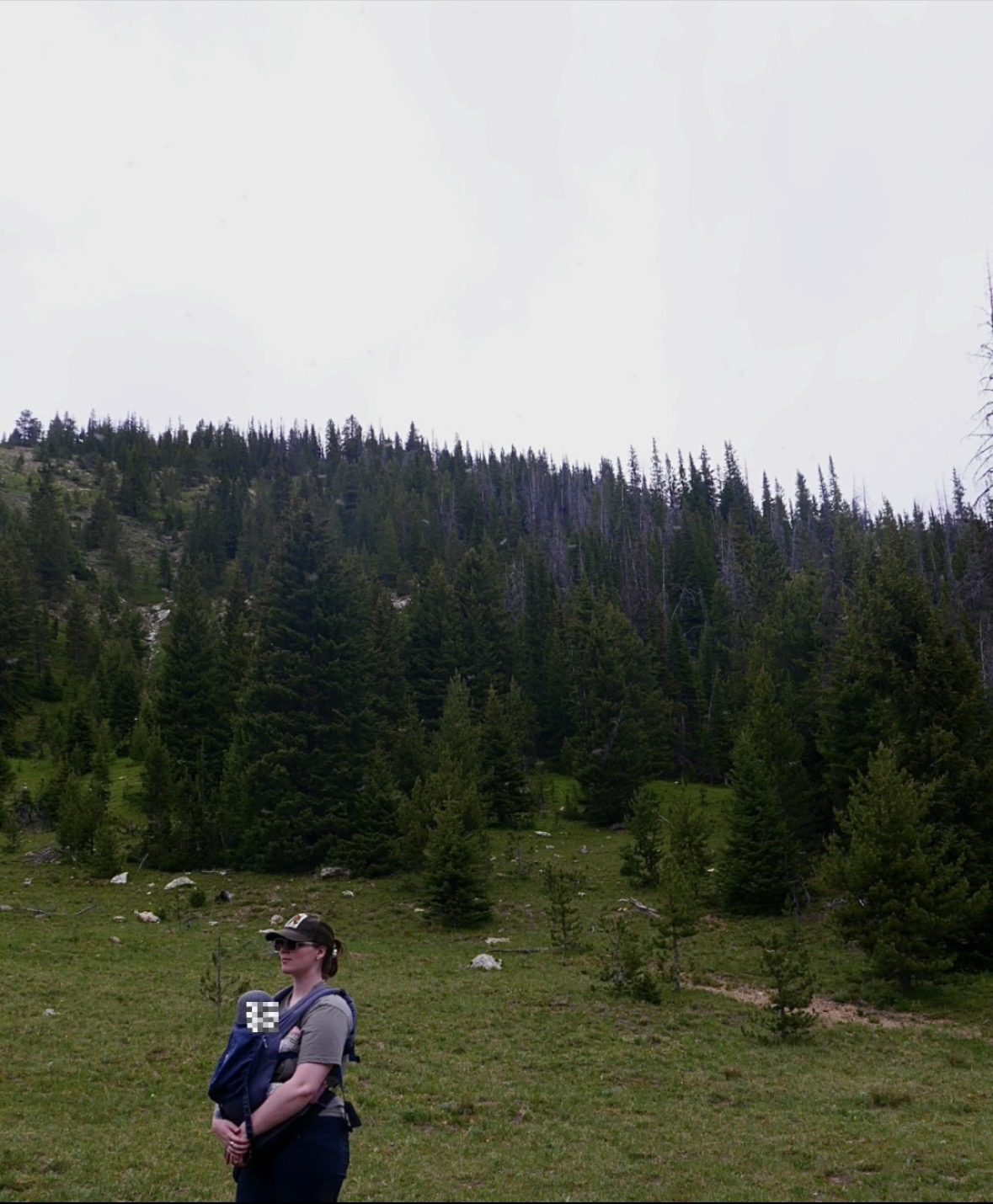Person standing outdoors in front of a forested hillside with trees and grass, wearing a hat and sunglasses.