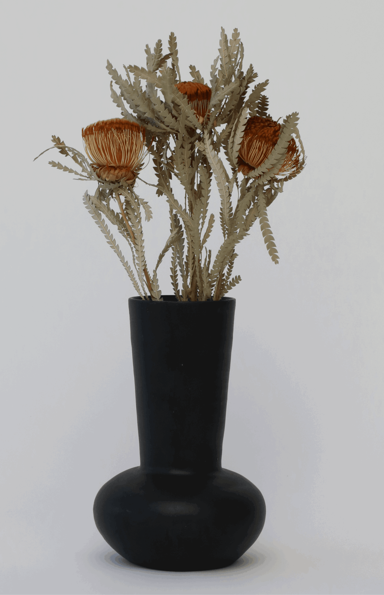 Dried flowers in a black vase against a plain background.