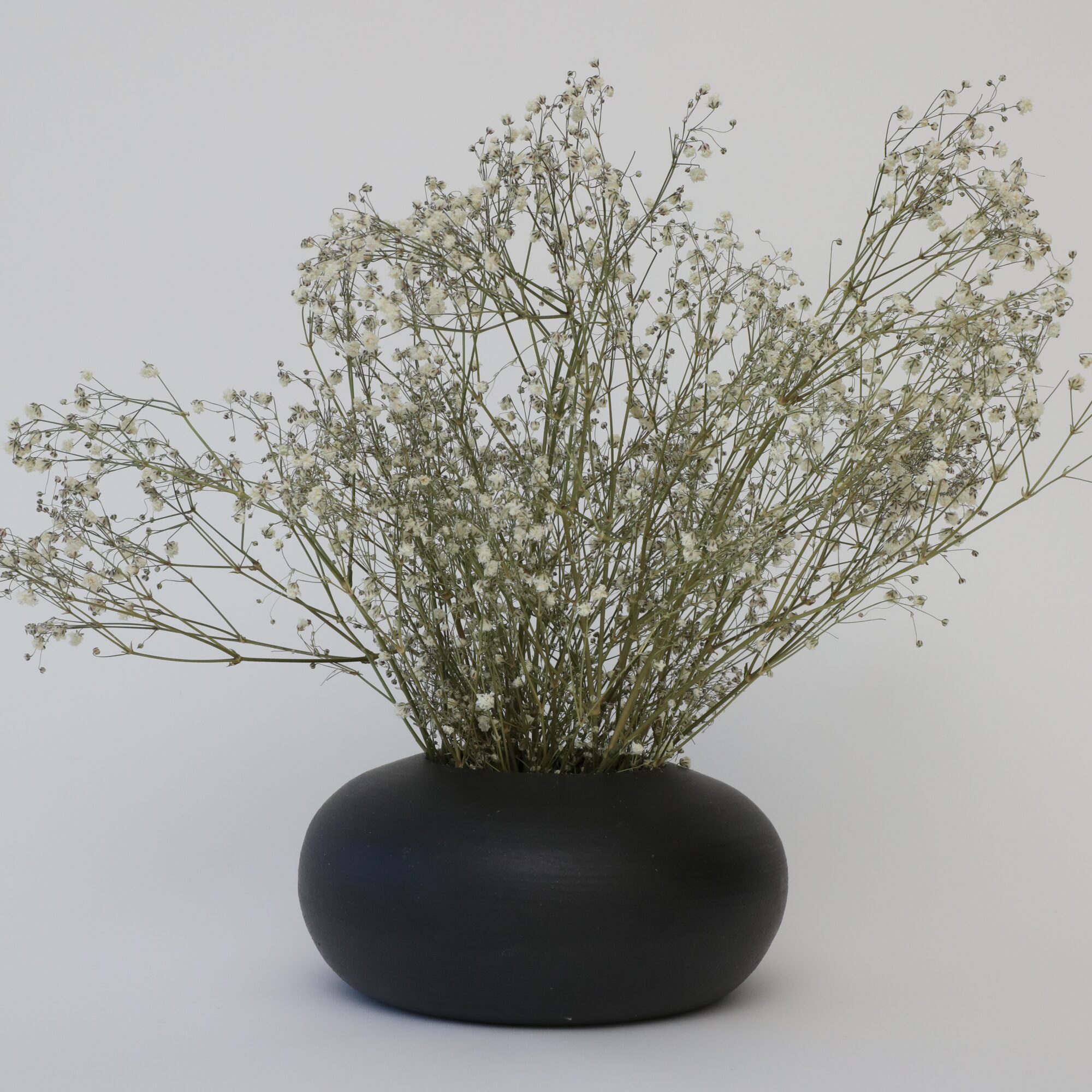 Black oval vase with white dried flowers against a plain background.