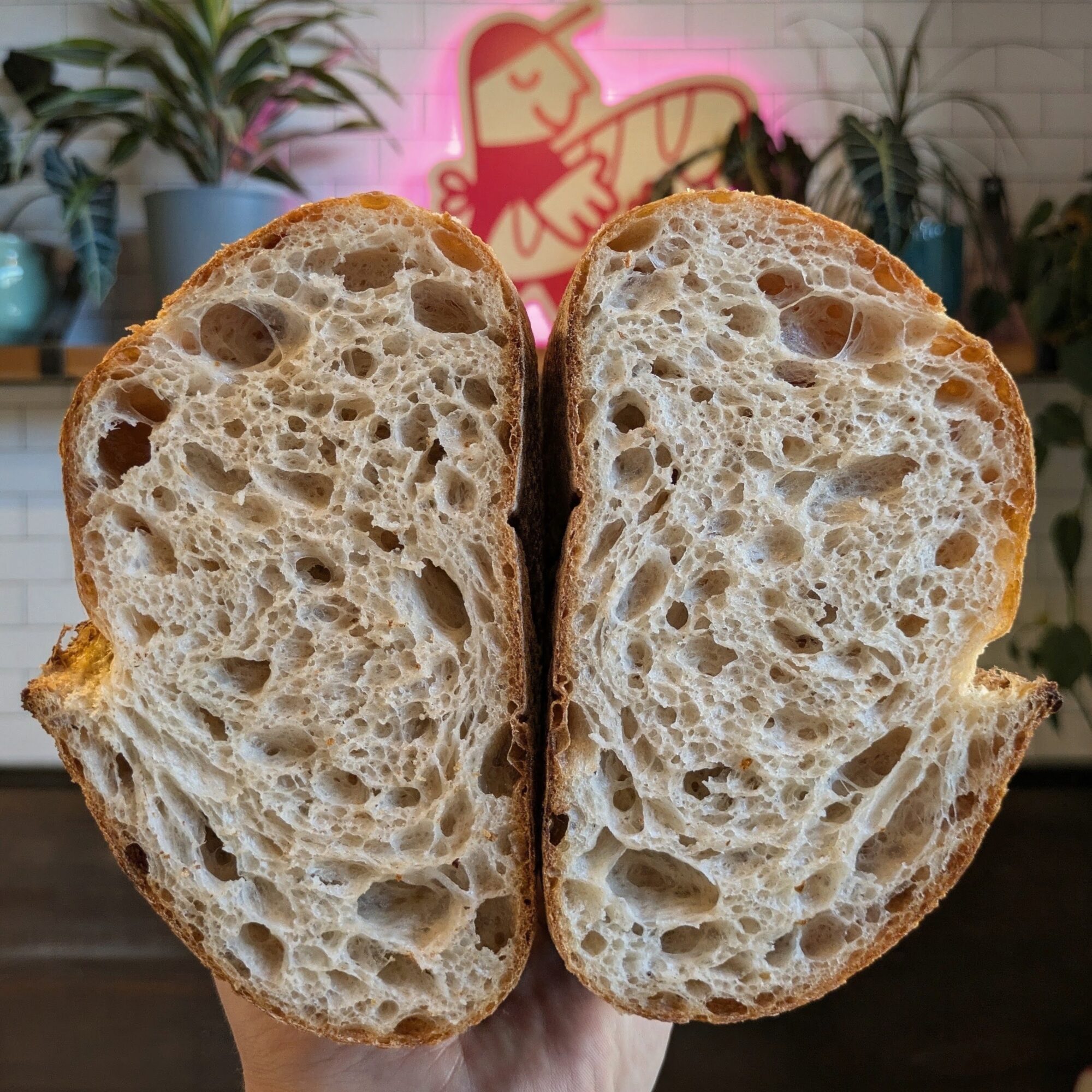 Two halves of a bread loaf with a large, open crumb structure, held in front of a colorful background with plants.