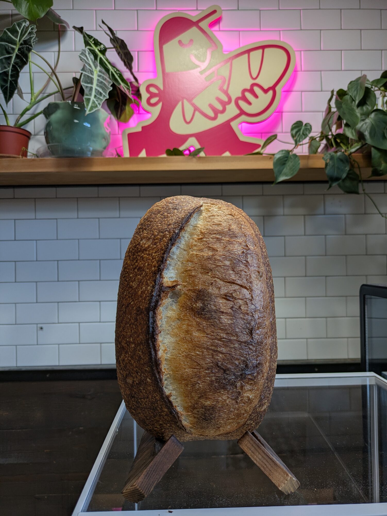 Large oval bread with a crusty surface on a wooden stand, placed on a glass surface in a room with plants and a pink neon butterfly sign.